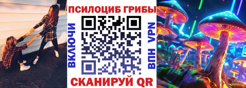 Псилоцибиновые грибы мицелий Ельня
